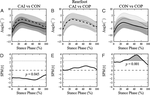 Gait Kinematics of Subjects with Ankle Instability Using a Multisegmented Foot Model: