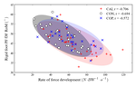 Multi-segment foot landing kinematics in subjects with chronic ankle instability