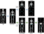Can segmental model reductions quantify whole-body balance accurately during dynamic activities?