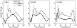 The Relationship Between Whole-Body External Loading and Body-Worn Accelerometry During Team-Sport Movements