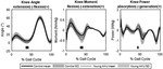 Identifying joint-specific gait mechanisms causing impaired gait in alkaptonuria patients