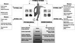 Training Load Monitoring in Team Sports: A Novel Framework Separating Physiological and Biomechanical Load-Adaptation Pathways