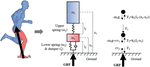 Biomechanical loading during running: can a two mass-spring-damper model be used to evaluate ground reaction forces for high-intensity tasks?